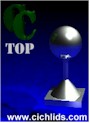 Cichlid Center Top Award